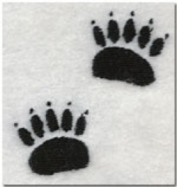 Bear tracks
