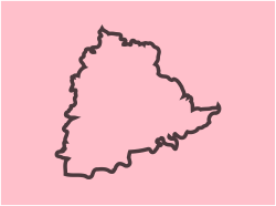 Flag of the Telangana Rashtra Samithi