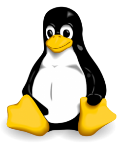The Linux Symbol