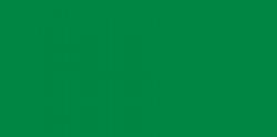 The national flag of Libya (1977-2011)