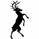 Stag