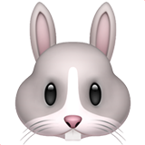 Rabbit Face (Apple iOS 12.2)