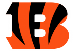 Cincinnati City Bengalz USA Sport Football Team Emblem Logo Die-Cut Sticker Label Decal 14'' X 11'' 