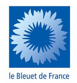 Bleuet de France